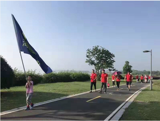 海豹隊旗幟被高高舉起 海豹隊旗幟被高高舉起